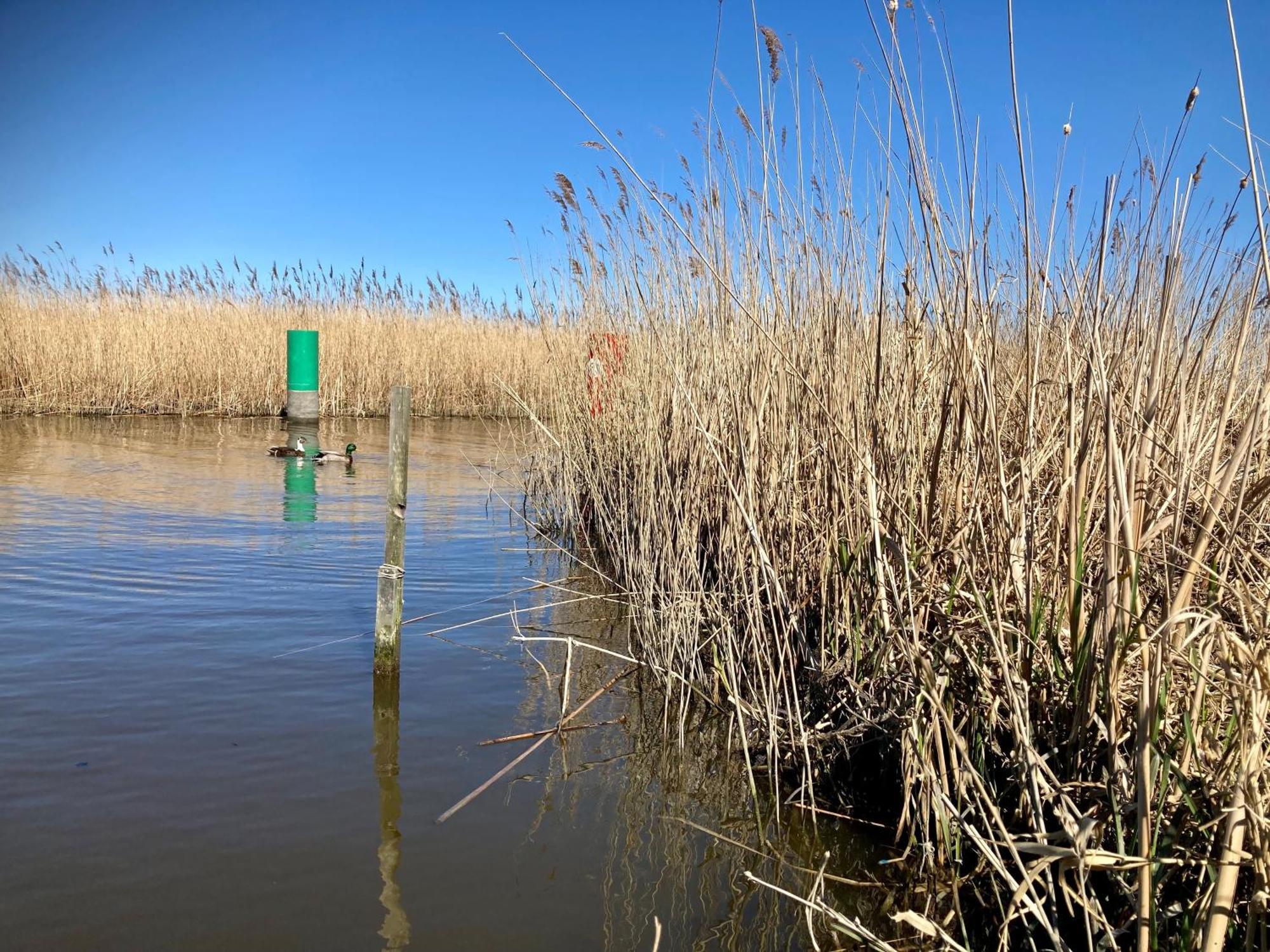 House Marijke With Winter Garden And Direct Access To The Lauwersmeer Anjum Exteriér fotografie