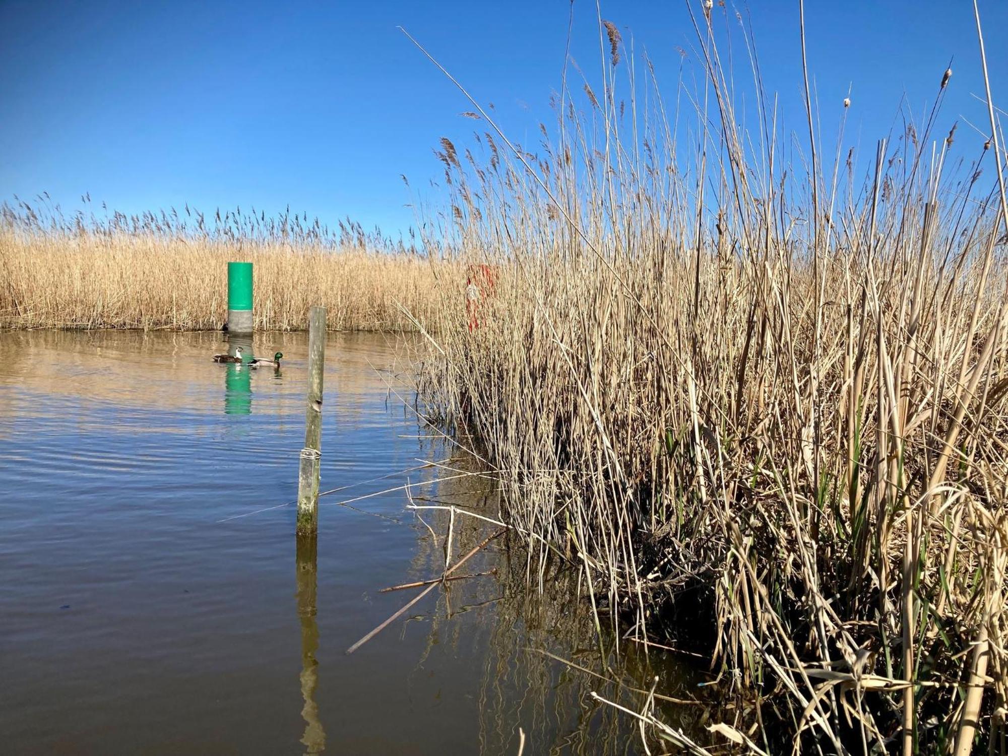 House Marijke With Winter Garden And Direct Access To The Lauwersmeer Anjum Exteriér fotografie
